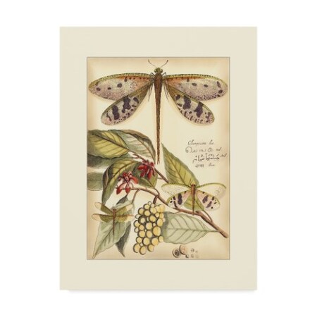 Vision Studio 'Whimsical Dragonflies I' Canvas Art,18x24